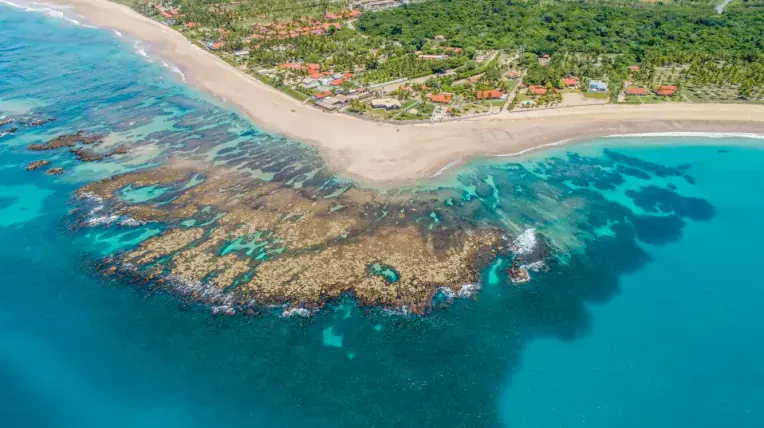 Mar aberto e coqueiros na praia do Pontal do Cupe, entre Muro Alto e Porto de Galinhas