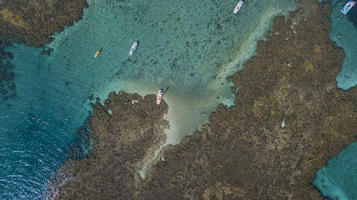 Panorama da praia de Porto de Galinhas com jangadas ao fundo