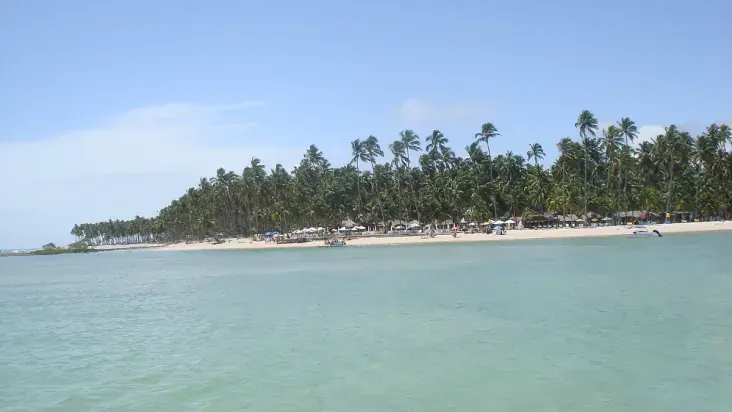 Praia de Tamandaré, no litoral sul de Pernambuco, com mar calmo e coqueiros