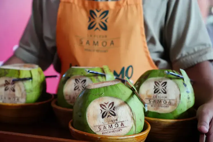 Cocos gelados com a marca do Samoa Beach Resort servidos na recepção de boas-vindas