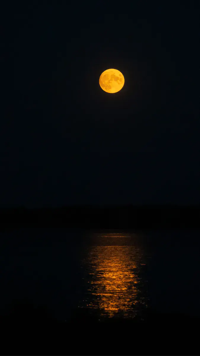 Lua clara subindo no céu noturno sobre os coqueiros de Muro Alto