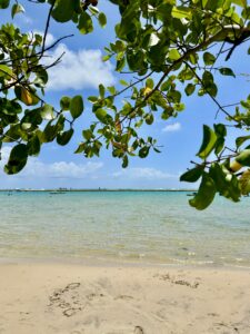 Tábua das marés Porto de Galinhas dicas Samoa Resort