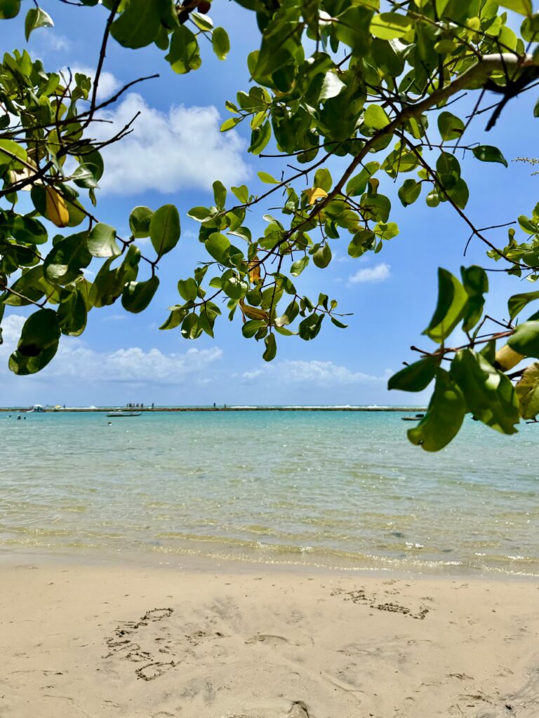 Tábua das marés Porto de Galinhas dicas Samoa Resort
